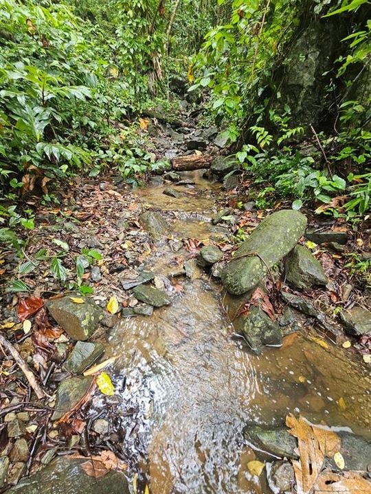 На продажу: $225,000 (14.00 acres)