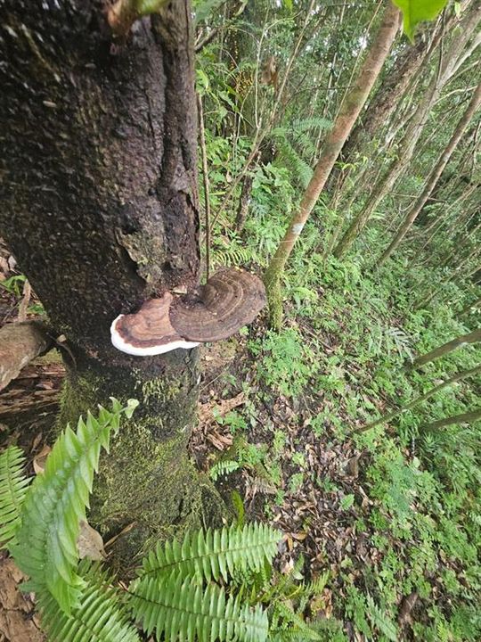 На продажу: $225,000 (14.00 acres)