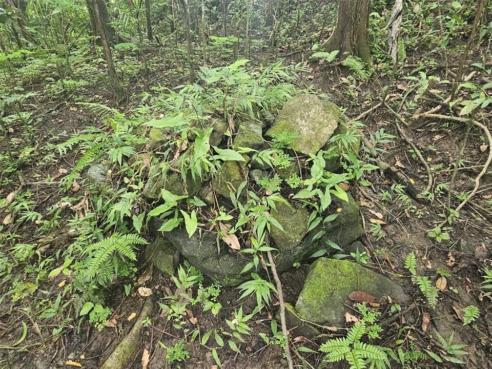 На продажу: $225,000 (14.00 acres)