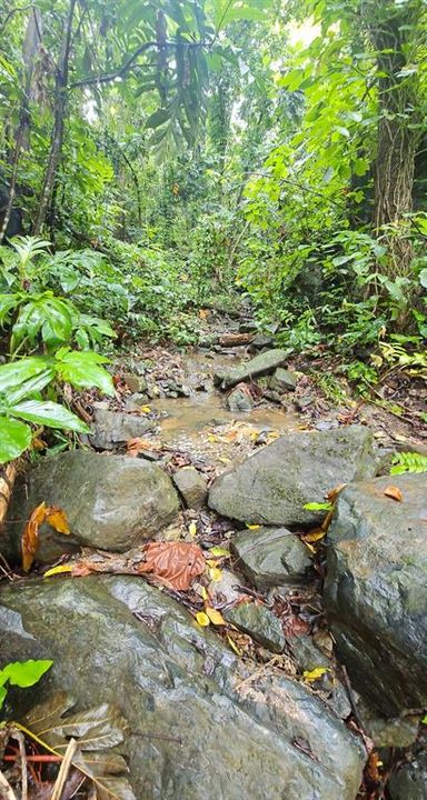 На продажу: $225,000 (14.00 acres)