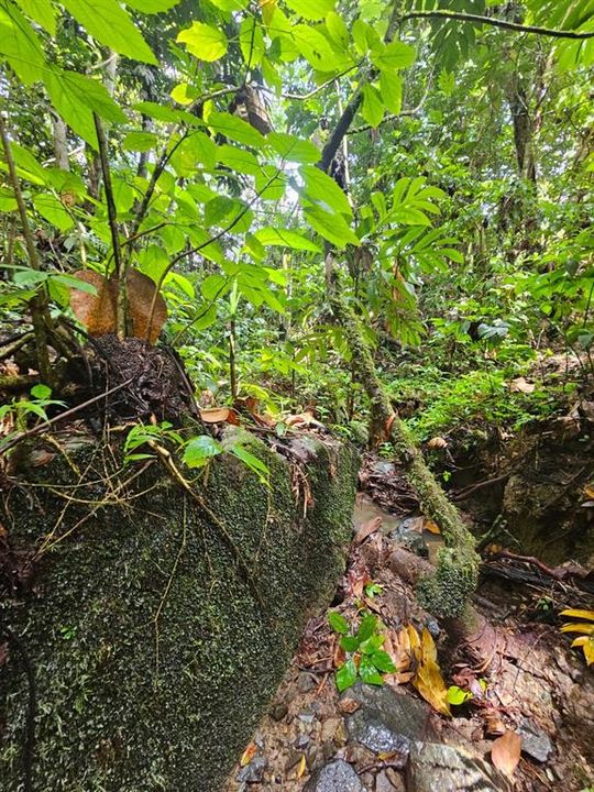 На продажу: $225,000 (14.00 acres)