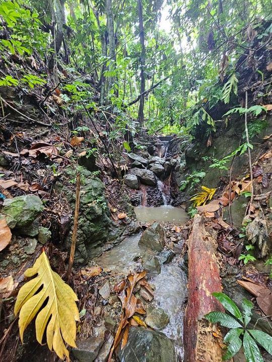 На продажу: $225,000 (14.00 acres)