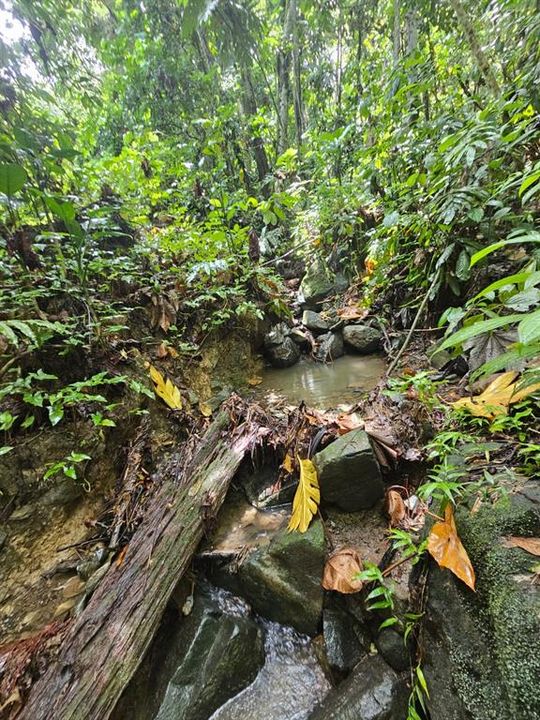 На продажу: $225,000 (14.00 acres)