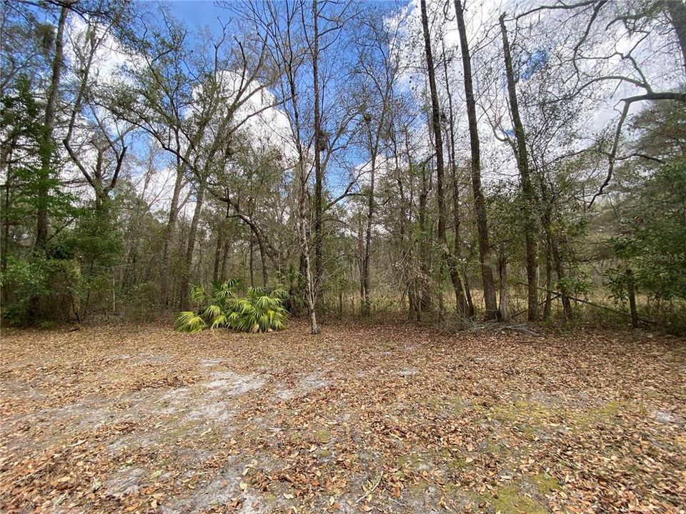 For Sale: $185,000 (3 beds, 3 baths, 2436 Square Feet)