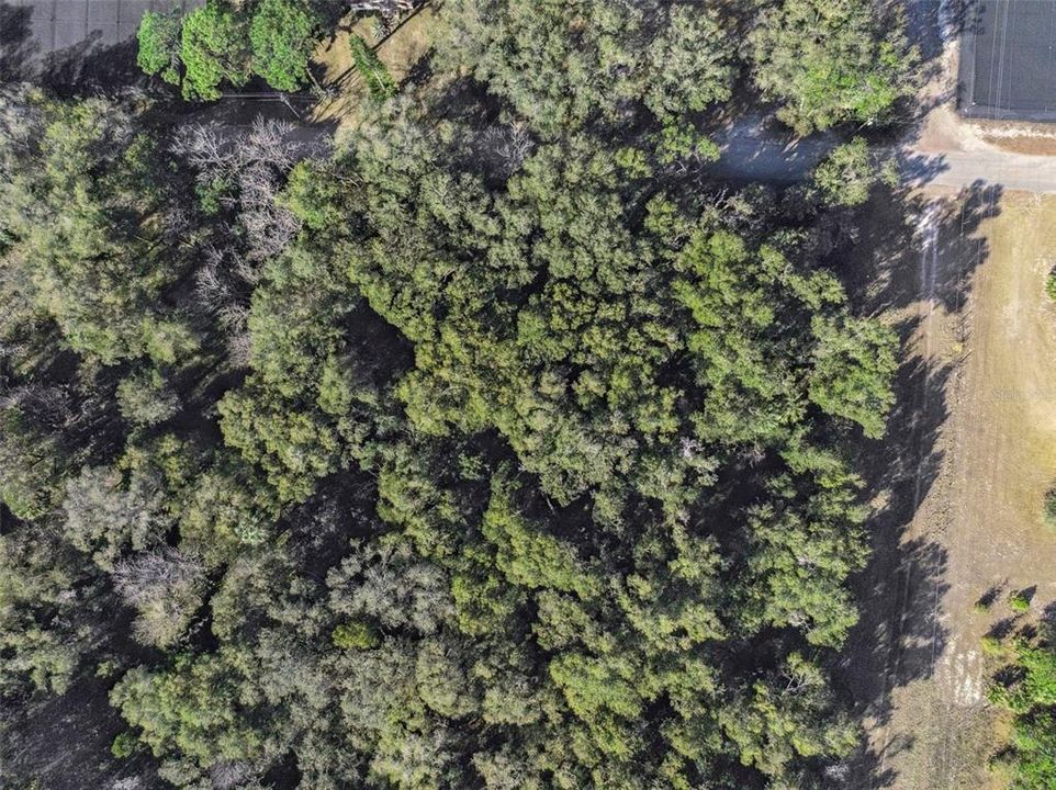 For Sale: $350,000 (10.00 acres)