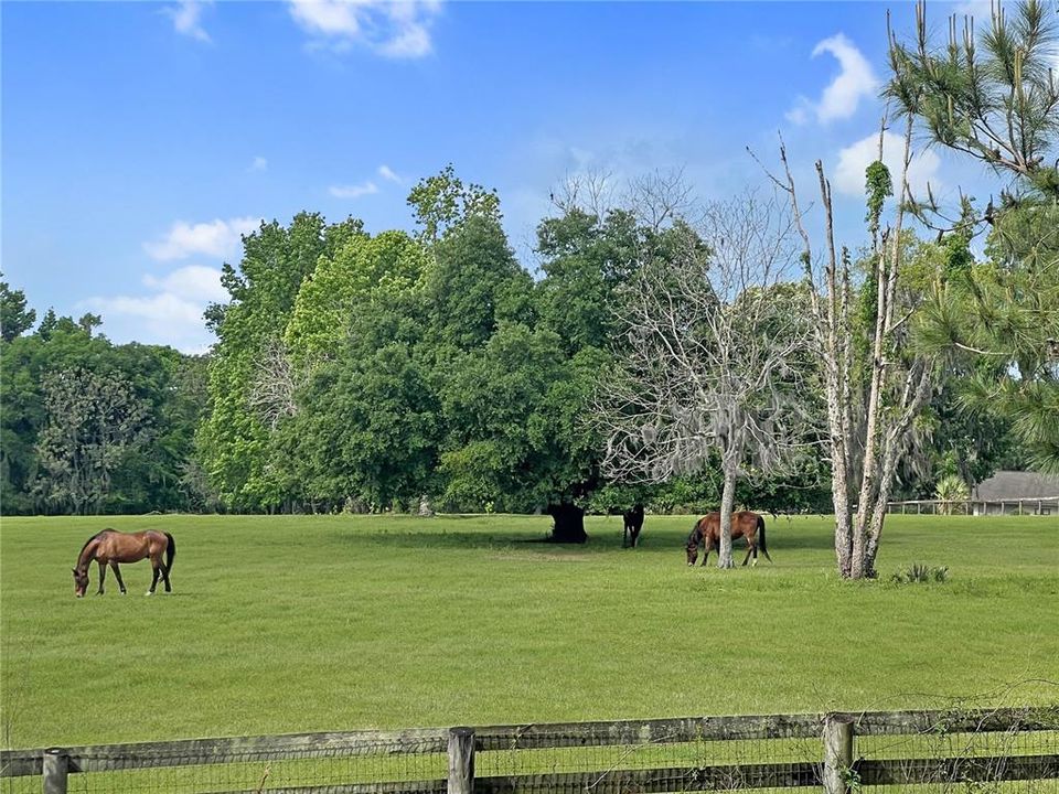 待售: $497,500 (16.45 acres)