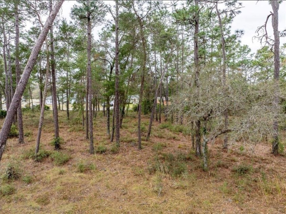 На продажу: $699,900 (3.06 acres)
