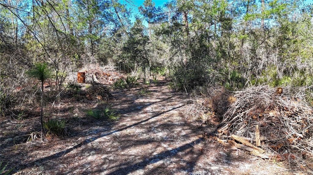 待售: $54,000 (1.31 acres)