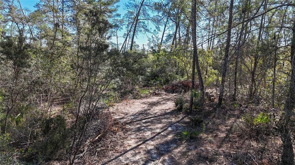 待售: $54,000 (1.31 acres)