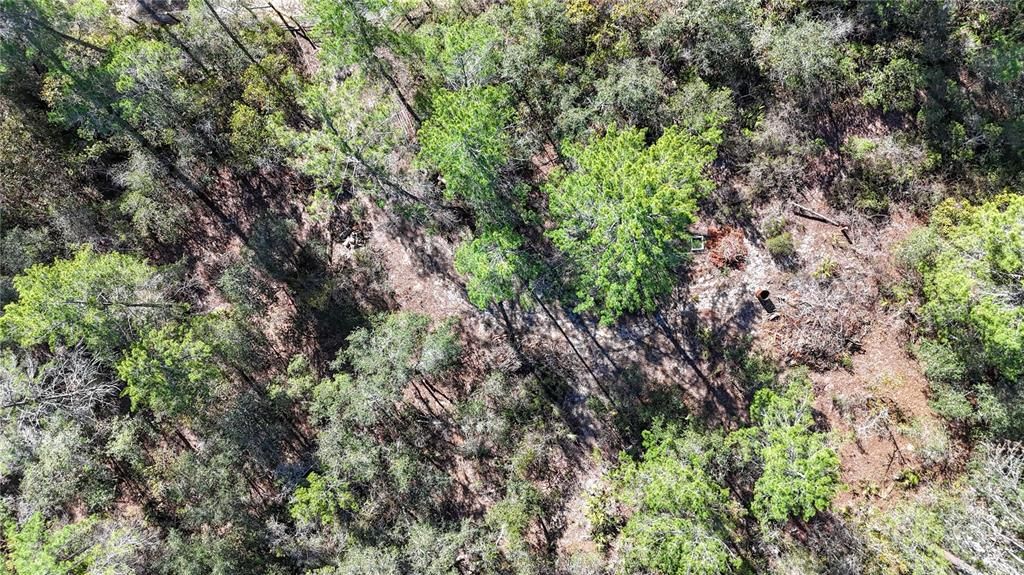 待售: $54,000 (1.31 acres)