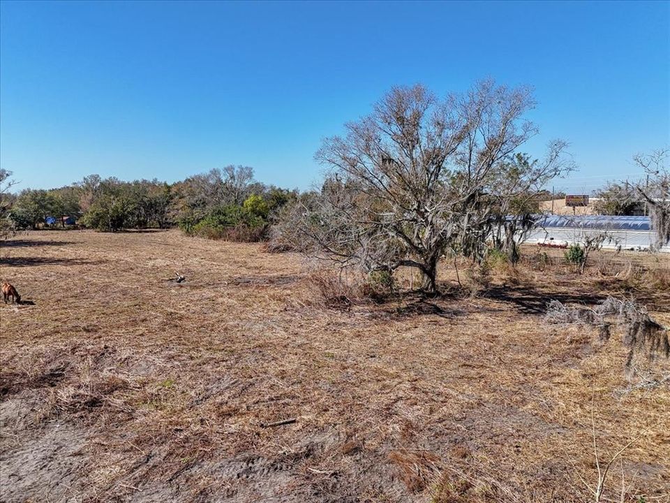 待售: $200,000 (4.87 acres)