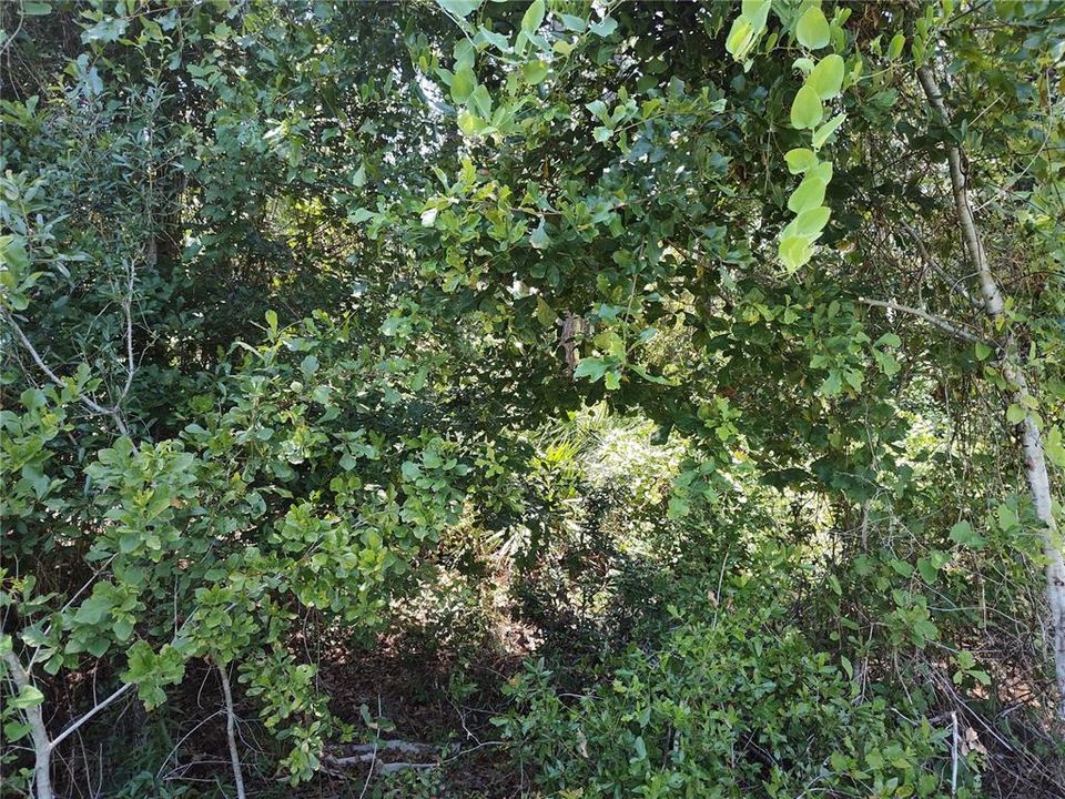 На продажу: $10,990 (0.40 acres)