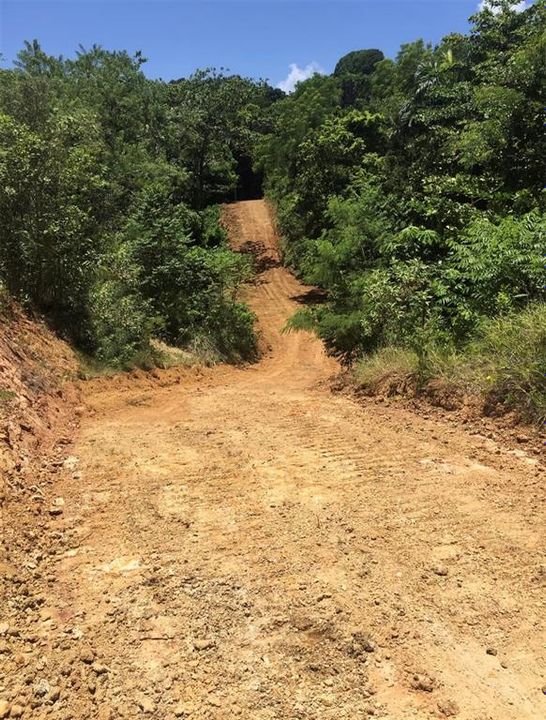 На продажу: $1,500,000 (6.20 acres)