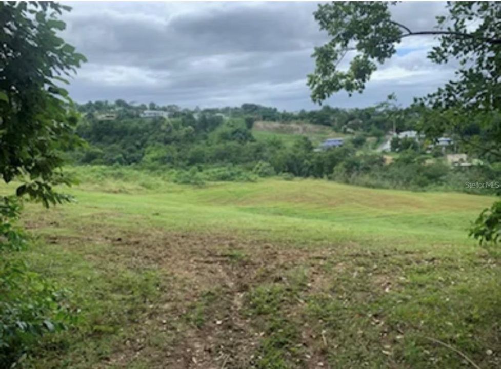 На продажу: $1,500,000 (6.20 acres)