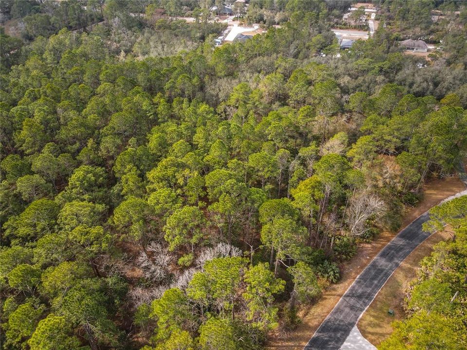 На продажу: $85,000 (1.14 acres)