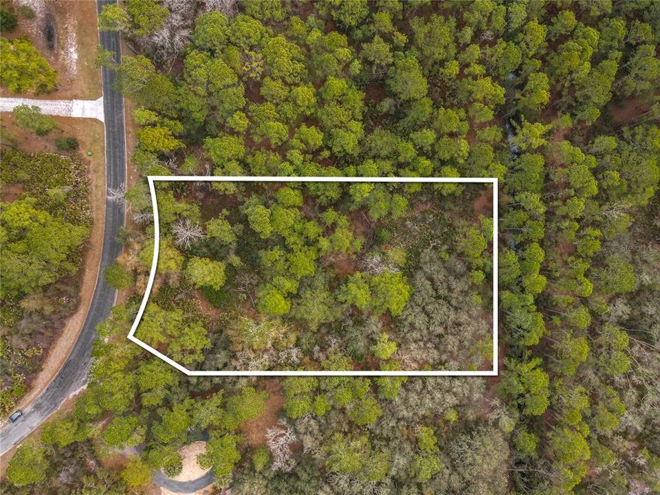 На продажу: $85,000 (1.14 acres)