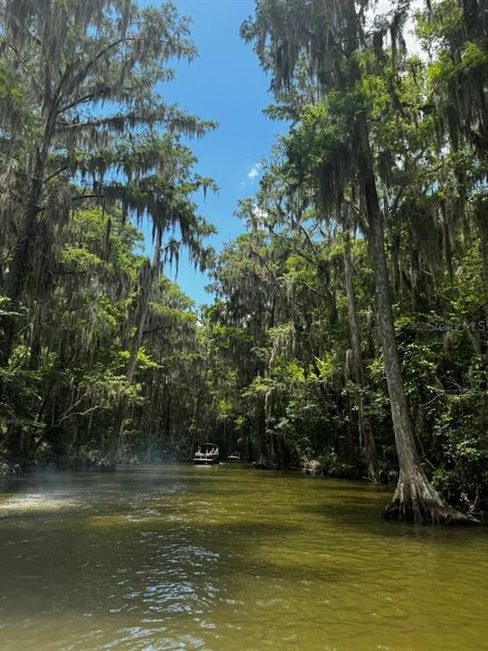 For Sale: $275,000 (1.47 acres)