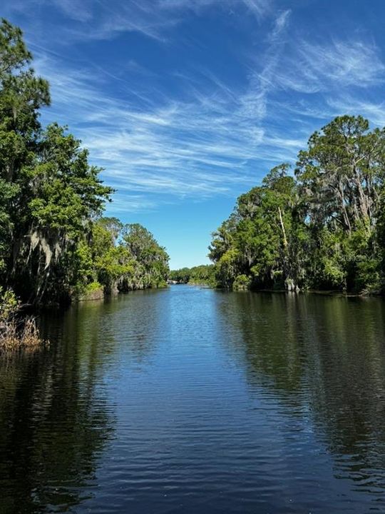 For Sale: $275,000 (1.47 acres)