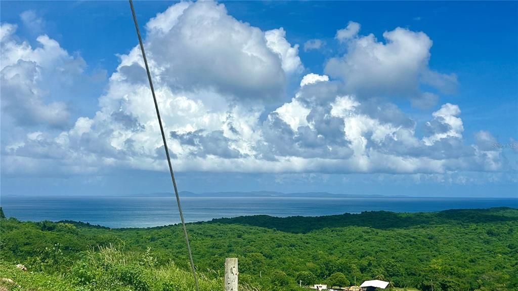 En Venta: $449,000 (4 camas, 2 baños, 1584 Pies cuadrados)