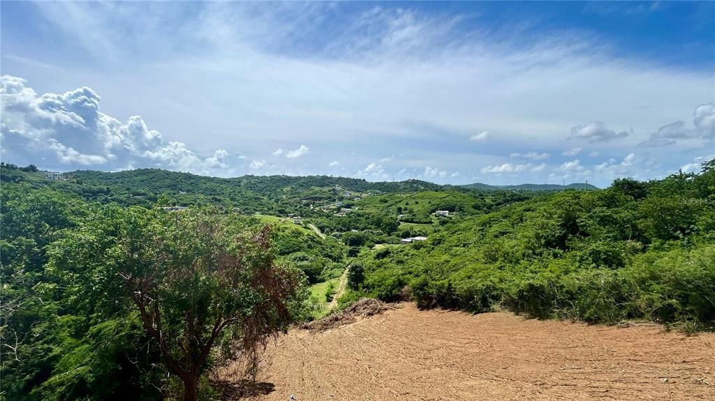 En Venta: $449,000 (4 camas, 2 baños, 1584 Pies cuadrados)