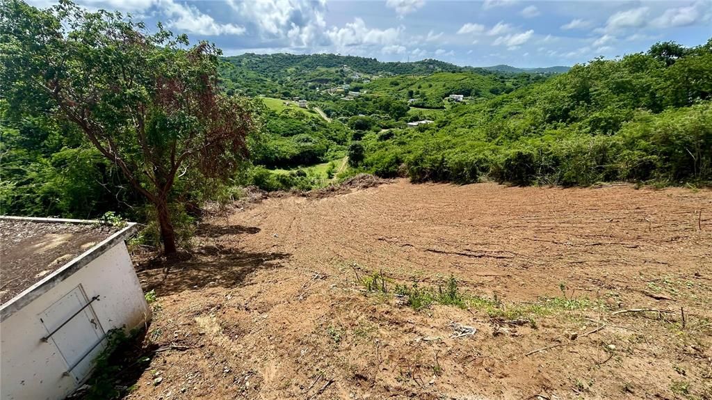 En Venta: $449,000 (4 camas, 2 baños, 1584 Pies cuadrados)