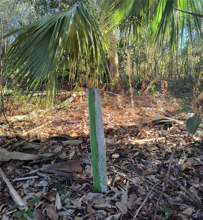 For Sale: $34,900 (0.12 acres)