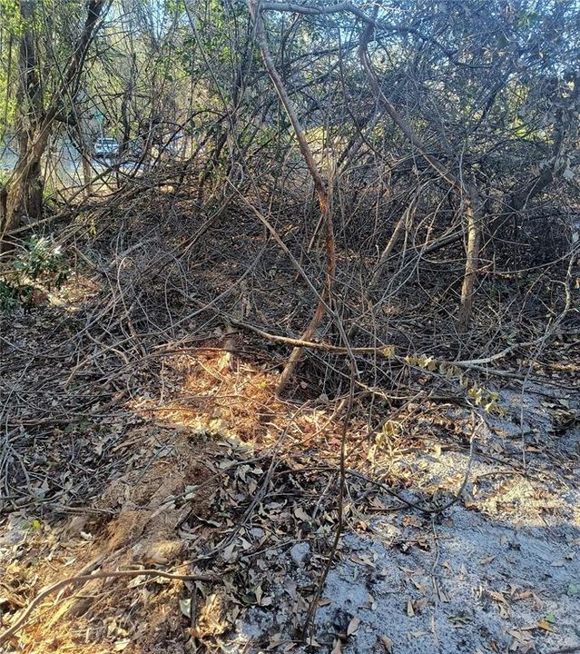 For Sale: $34,900 (0.12 acres)