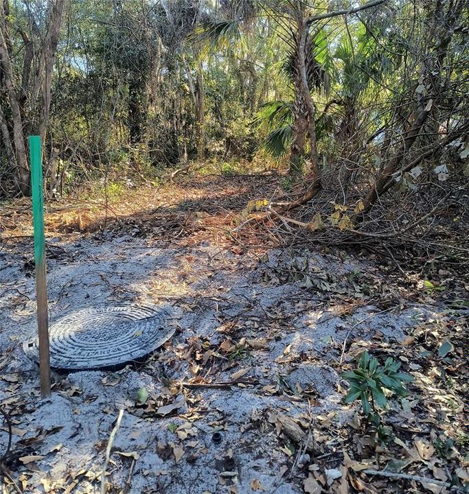 For Sale: $34,900 (0.12 acres)