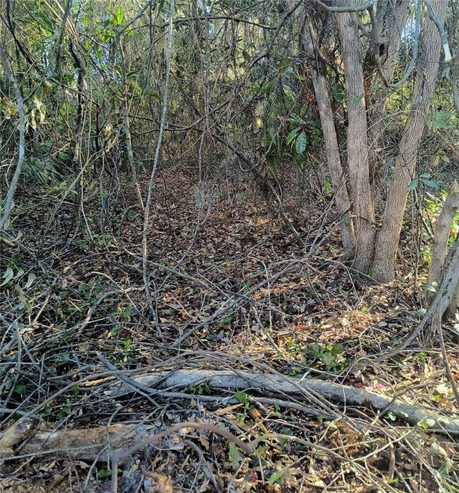 For Sale: $34,900 (0.12 acres)