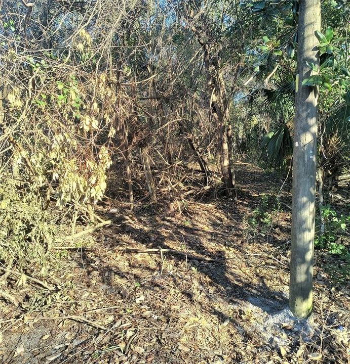 For Sale: $34,900 (0.12 acres)