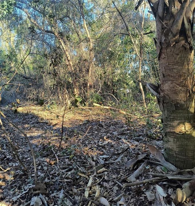 For Sale: $34,900 (0.12 acres)