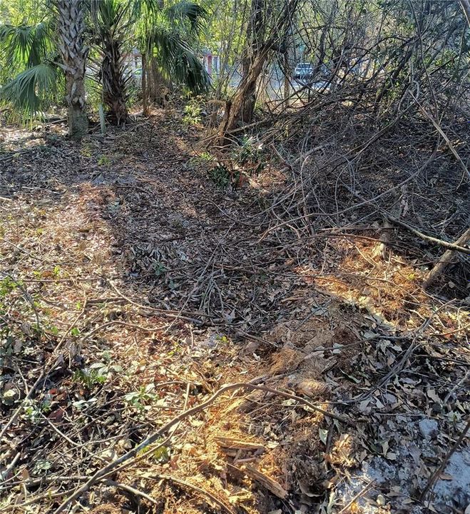 For Sale: $34,900 (0.12 acres)