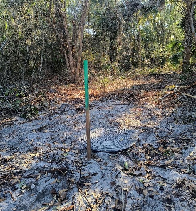 For Sale: $34,900 (0.12 acres)