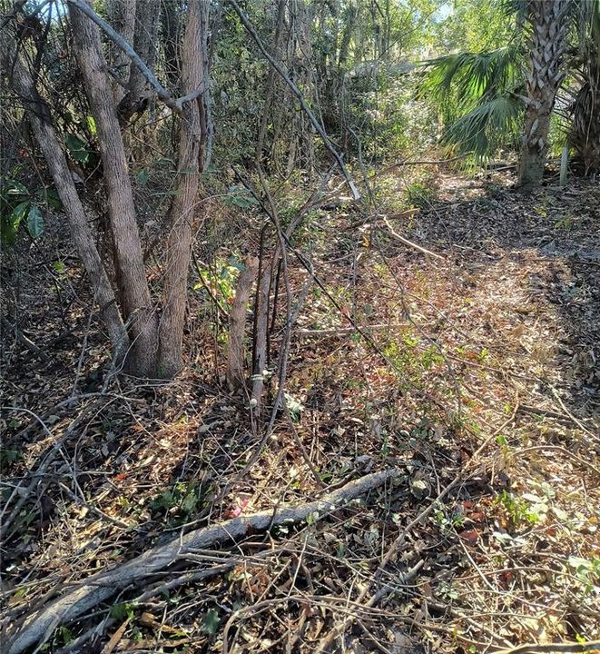 For Sale: $34,900 (0.12 acres)