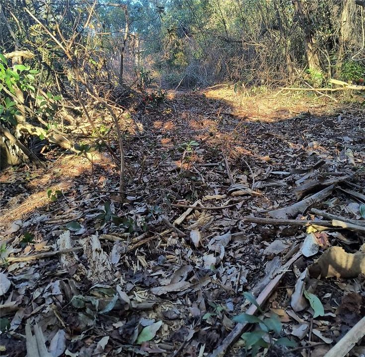 For Sale: $34,900 (0.12 acres)