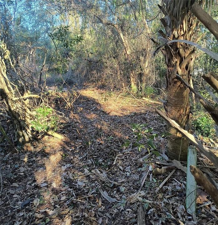 For Sale: $34,900 (0.12 acres)