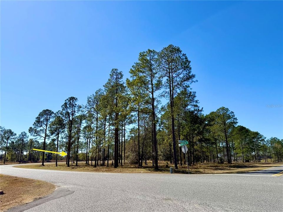 For Sale: $449,000 (5.00 acres)