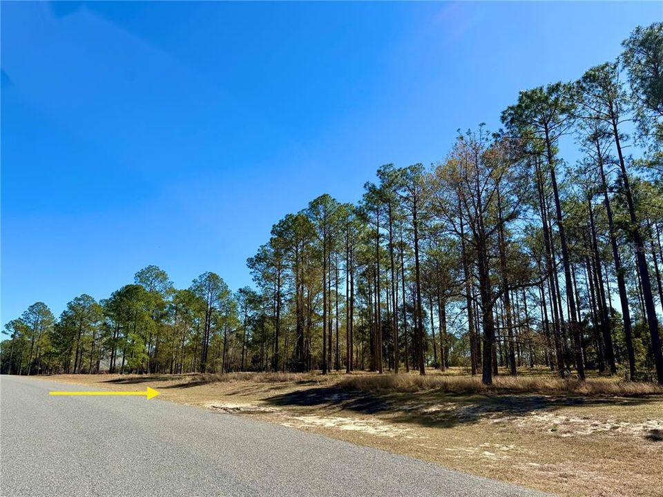 For Sale: $449,000 (5.00 acres)