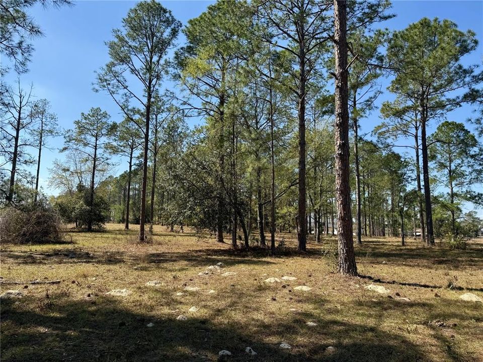 For Sale: $449,000 (5.00 acres)