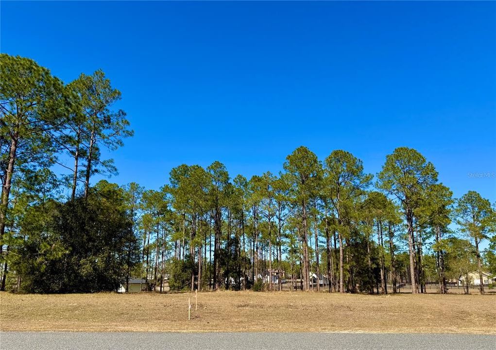 For Sale: $449,000 (5.00 acres)