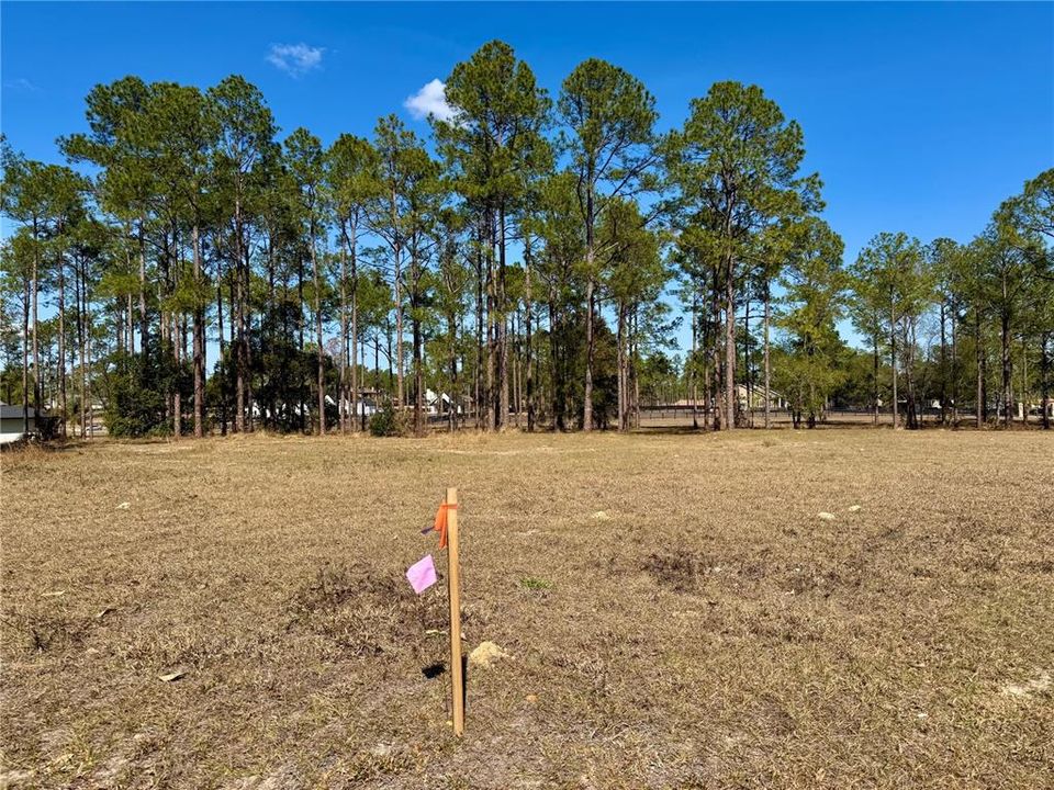 For Sale: $449,000 (5.00 acres)