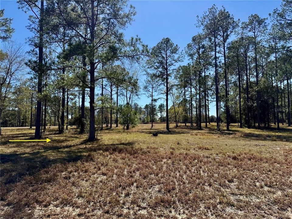 For Sale: $449,000 (5.00 acres)