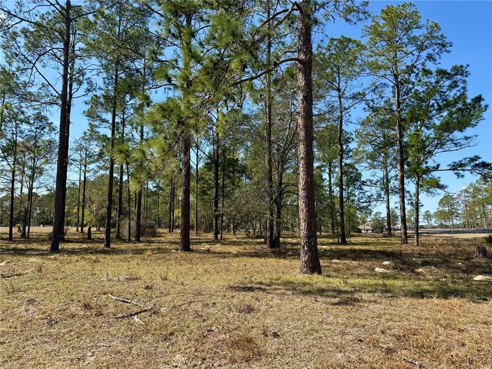 For Sale: $449,000 (5.00 acres)