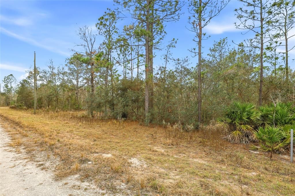 En Venta: $42,000 (0.46 acres)