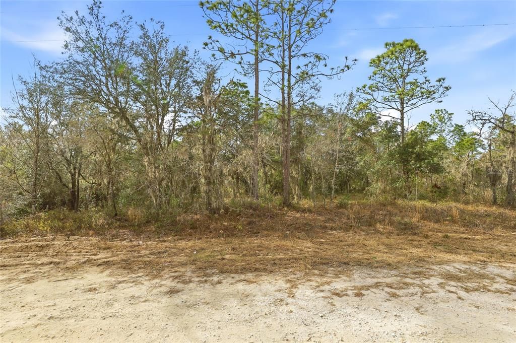На продажу: $42,000 (0.46 acres)