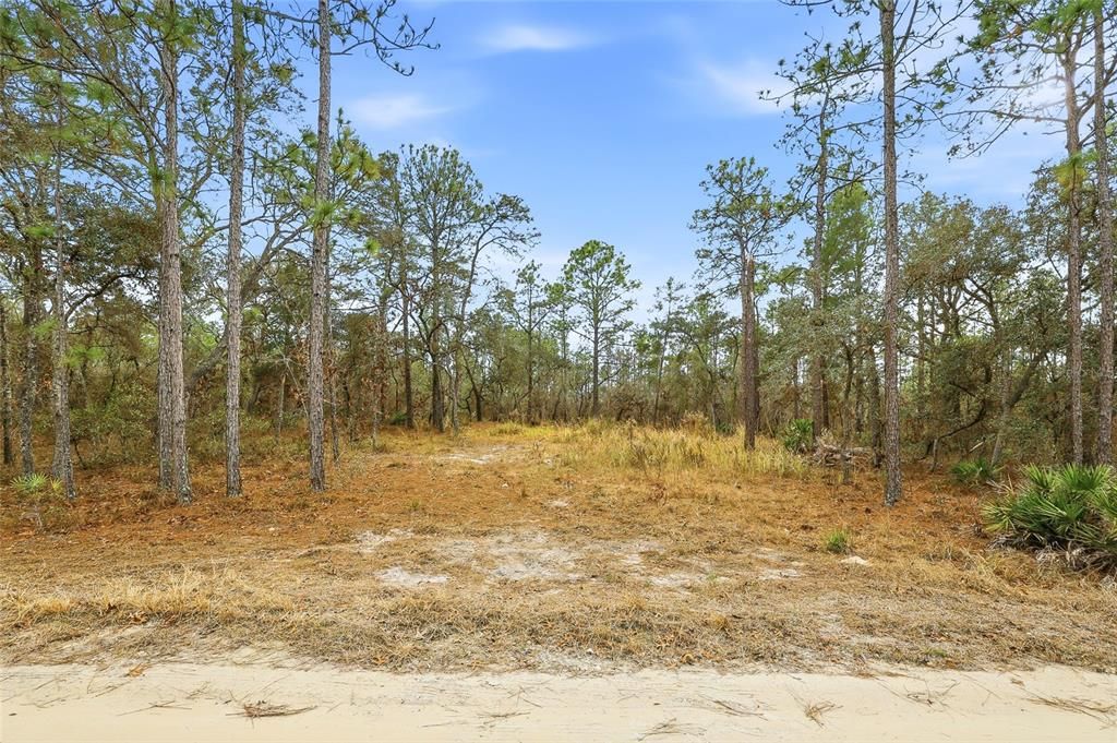 На продажу: $125,000 (2.30 acres)