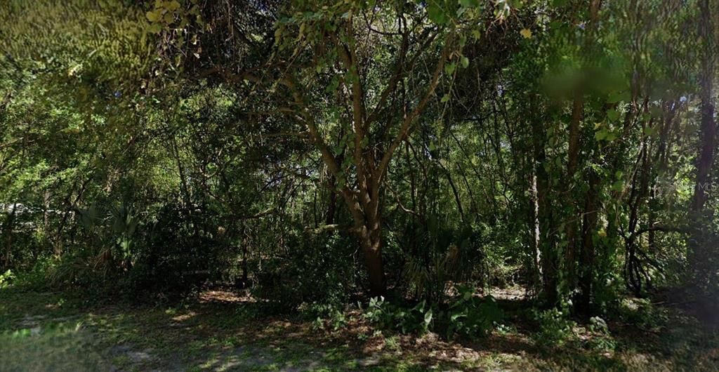 En Venta: $11,500 (0.22 acres)