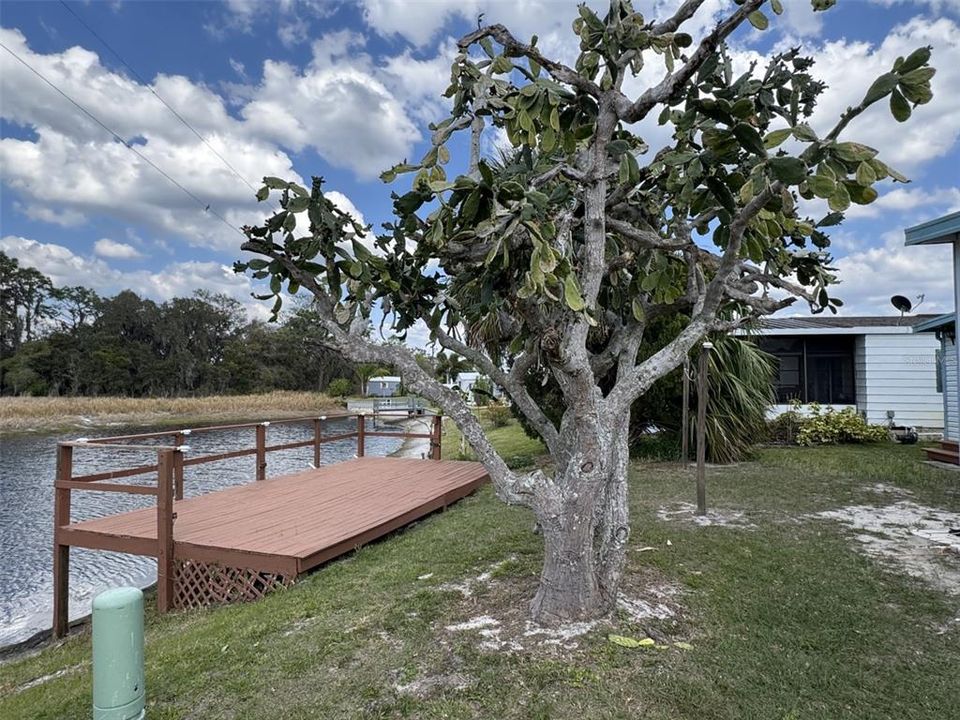 For Sale: $115,000 (2 beds, 2 baths, 856 Square Feet)
