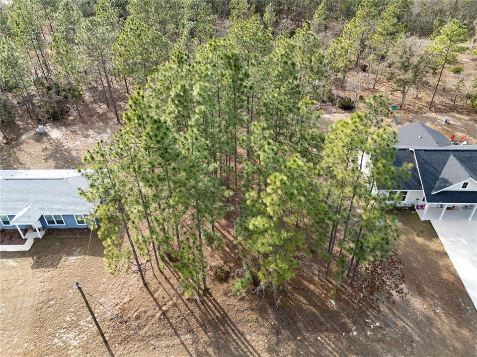 最近售出: $15,000 (0.23 acres)