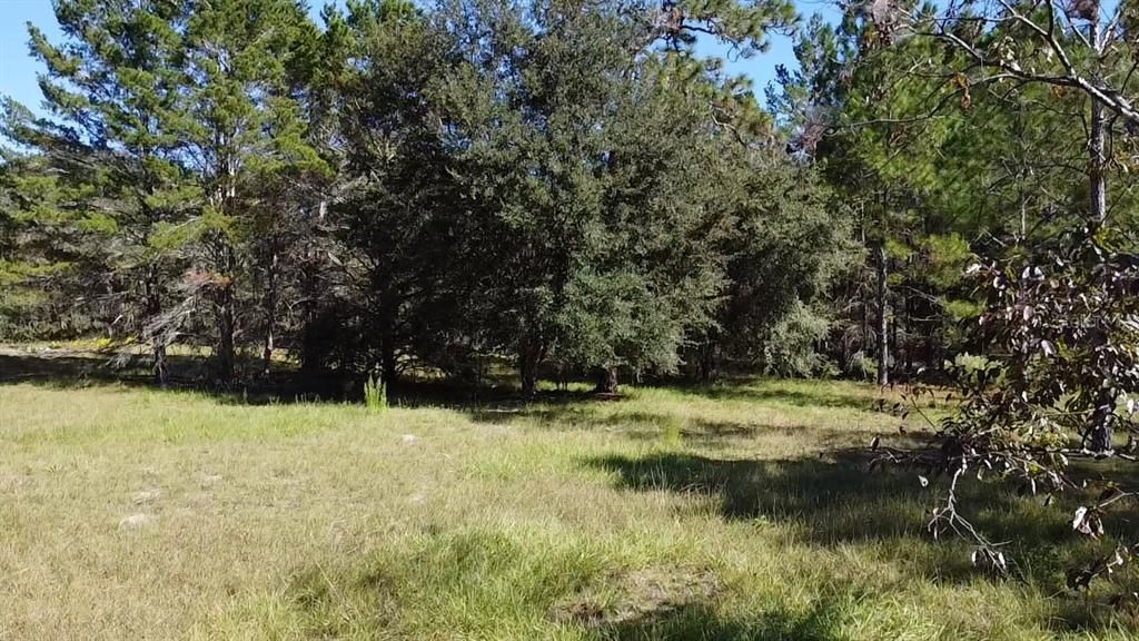 En Venta: $325,000 (10.00 acres)